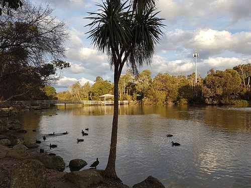 Ringwood VIC 3134, Fletchers Local suburb guide