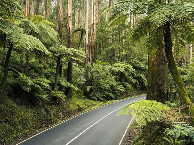 Olinda VIC 3788, Fletchers Local suburb guide